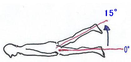 股関節の伸展